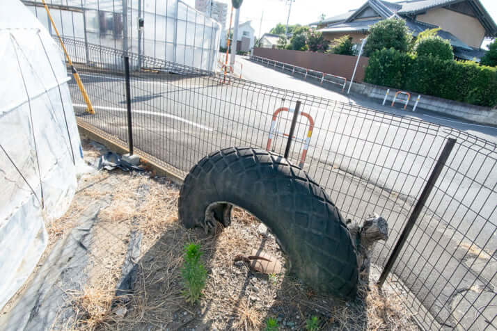 25年31号グラビア 戦争遺跡_4