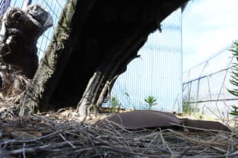 25年31号グラビア 戦争遺跡_6