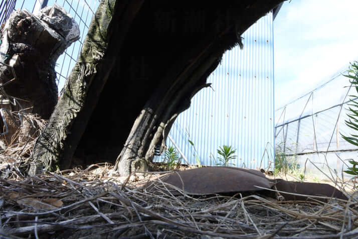 25年31号グラビア 戦争遺跡_6