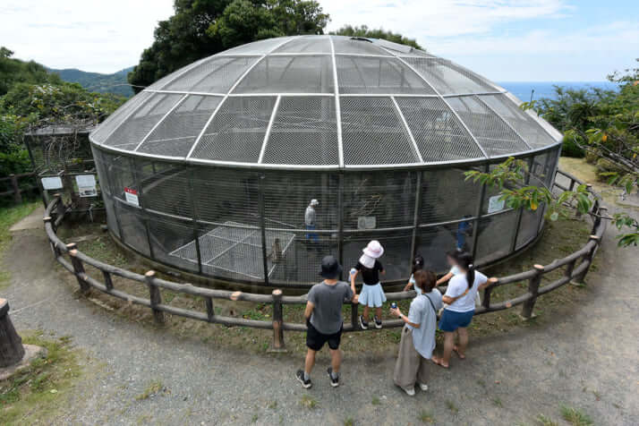 25年31号グラビア 戦争遺跡_7
