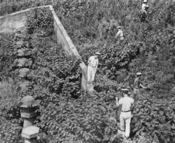 芝公園内を捜索する警察官