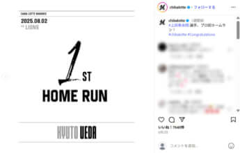 千葉ロッテマリーンズ