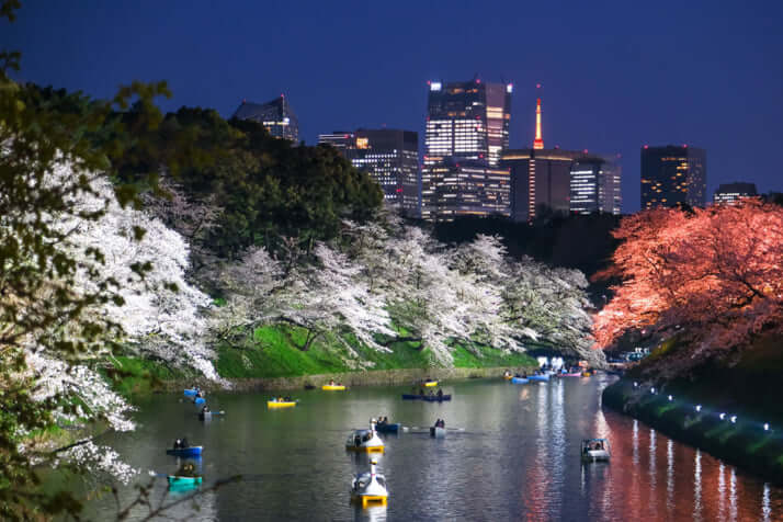 千鳥ヶ淵イメージ