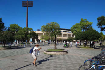 甲子園