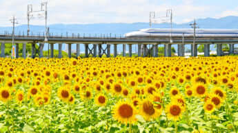 肥薩おれんじ鉄道