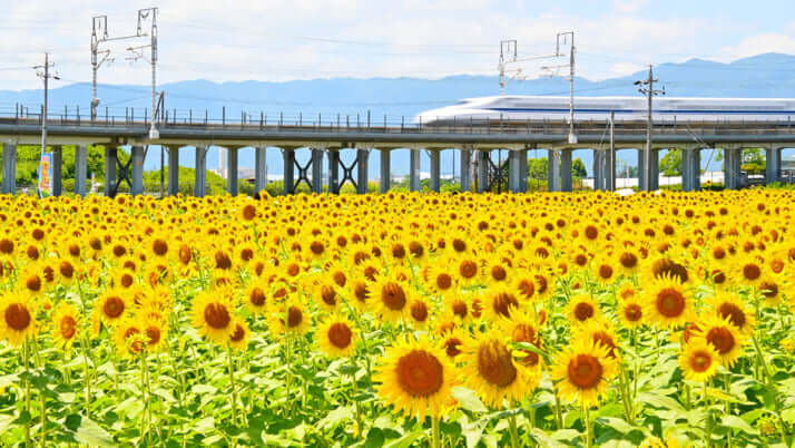 肥薩おれんじ鉄道