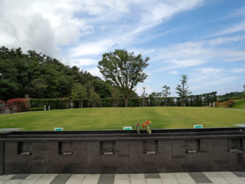 樹木葬イメージ