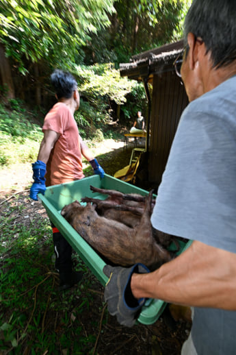 25年33号グラビア ハンター_5