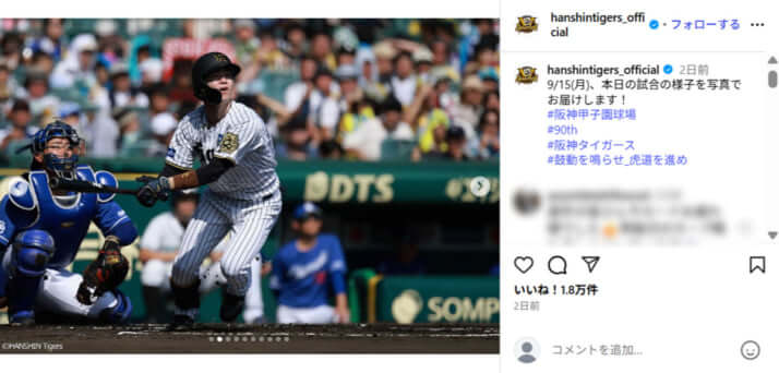 阪神タイガース2