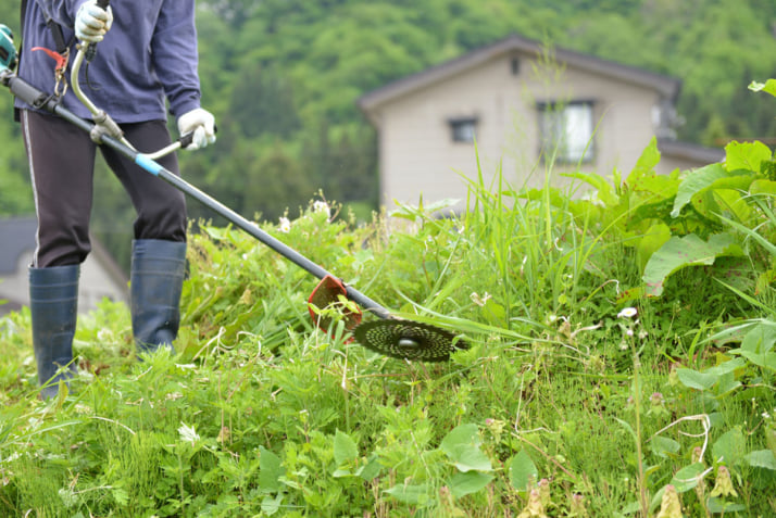 草刈りイメージ