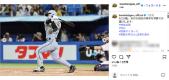 阪神タイガース7