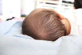 プポンピュア_1