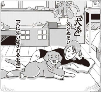 イラスト・まんきつ