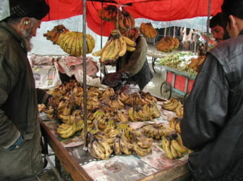 アフガニスタン、パキスタン