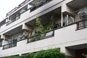 林家ペー＆パー子夫夫妻