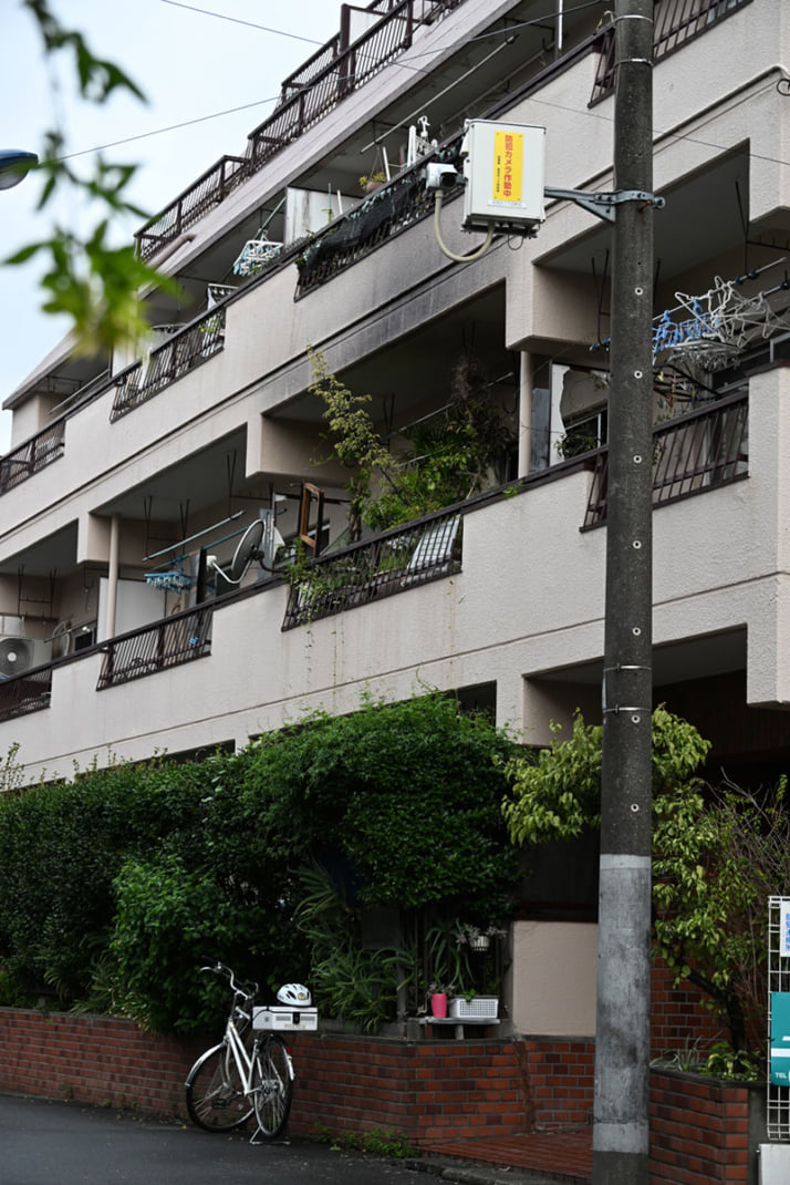 林家ペー&パー子夫夫妻