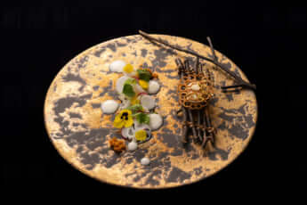 25年39号グラビア 鉄人への登竜門_2