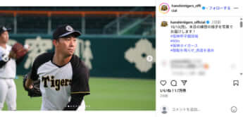 阪神タイガース2