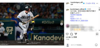 阪神タイガース2