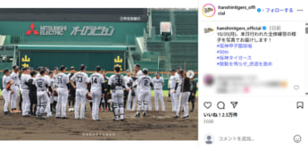 阪神タイガース1