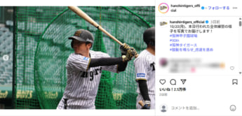 阪神タイガース2