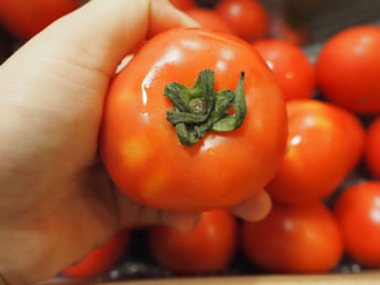 トマトイメージ