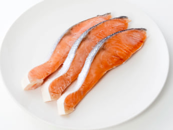 鮭イメージ