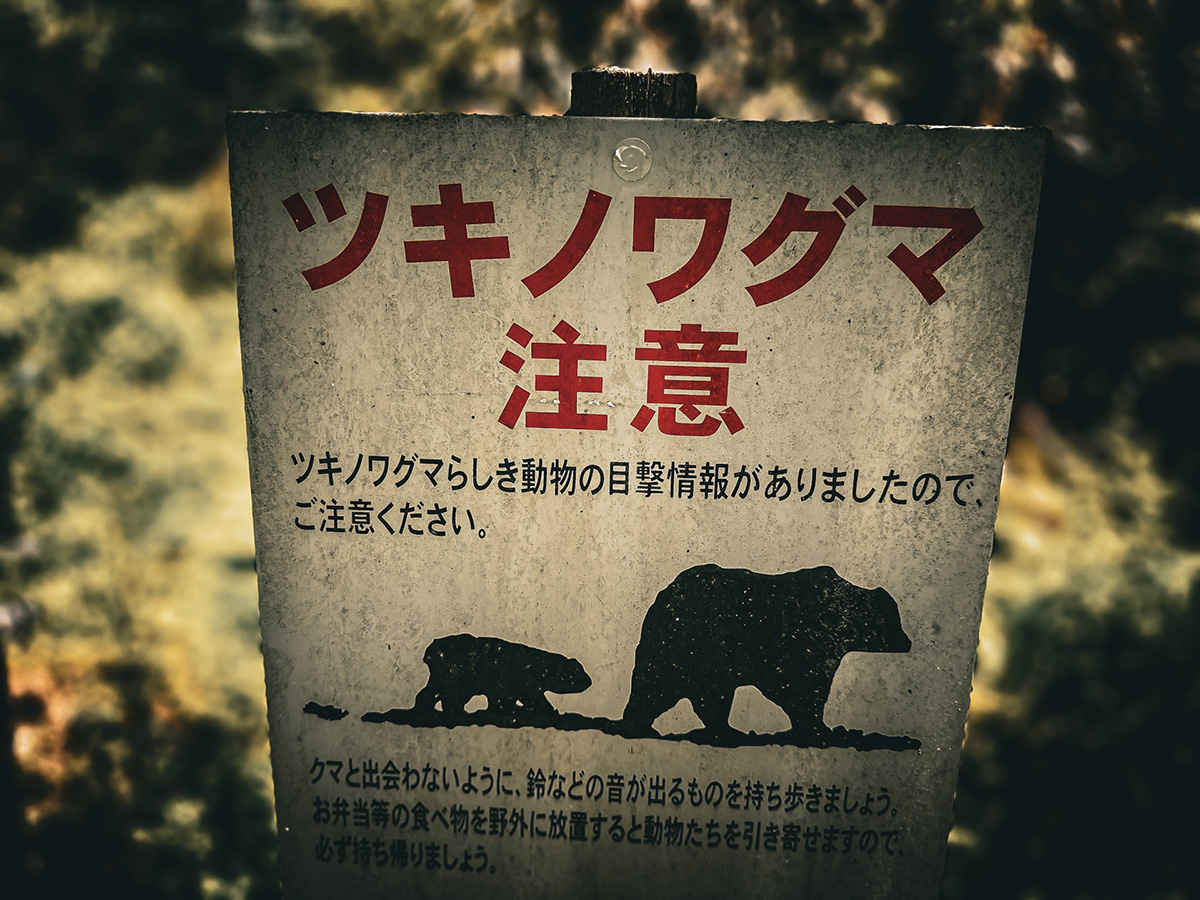 秋田県でクマが市街地に出没の“緊急事態” 飲食店は営業自粛も「クマを