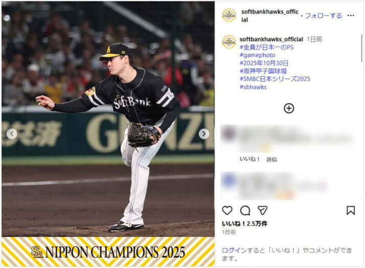 福岡ソフトバンクホークス_3