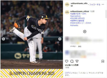 福岡ソフトバンクホークス_7