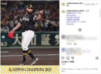 福岡ソフトバンクホークス_8