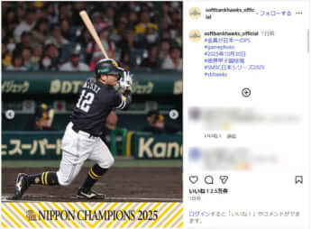 福岡ソフトバンクホークス_9