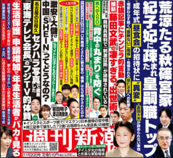 「週刊新潮」2025年11月20日号
