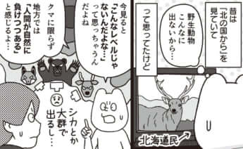 イラスト・k.nakamura