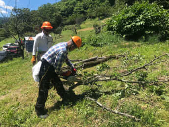 「クマボラ」の活動