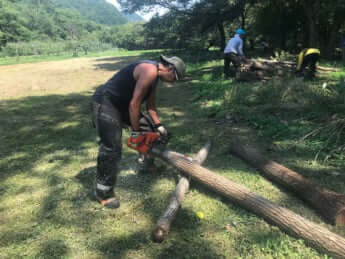 「クマボラ」の活動