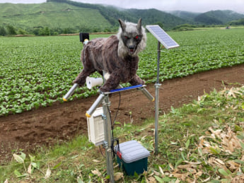 モンスターウルフ