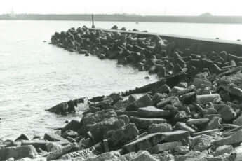 「女画商バラバラ殺人」遺体発見現場4