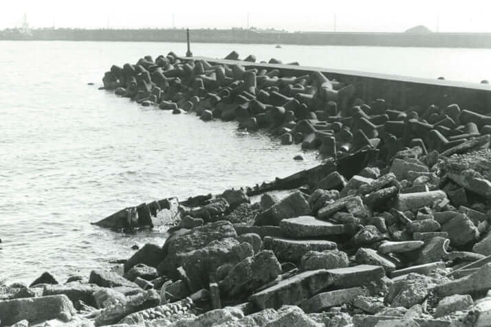 「女画商バラバラ殺人」遺体発見現場4