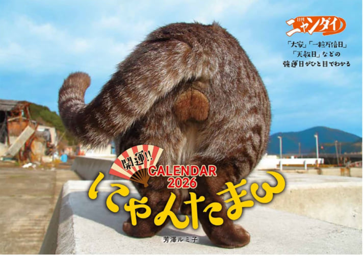 猫カレンダー1