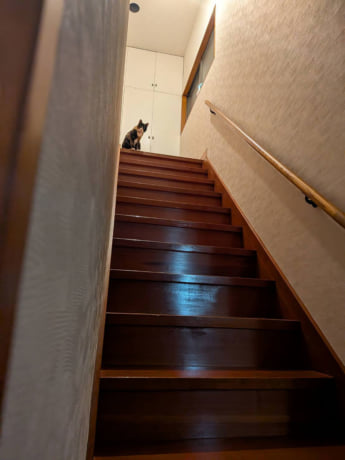 猫カレンダー15