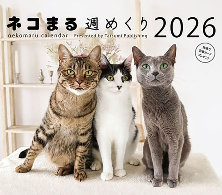 猫カレンダー6