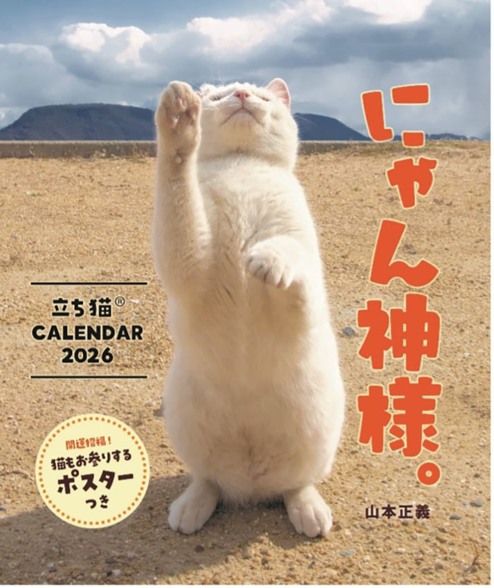 猫カレンダー9