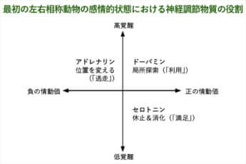 最初の左右相称動物の感情的状態における神経調節物質の役割