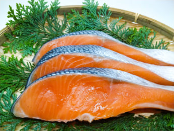 鮭イメージ