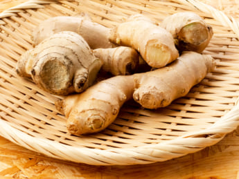 生姜イメージ