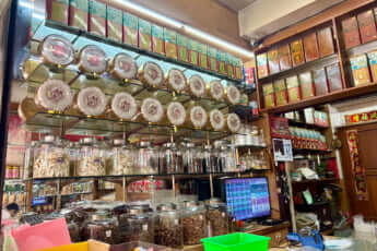 みかんの皮_5_漢方薬局