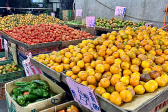 みかんの皮_9_みかん