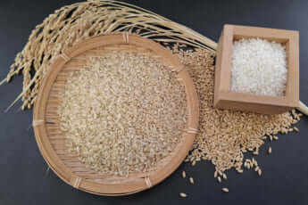 稲と玄米と米