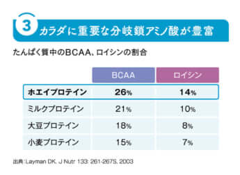 カラダに重要な分岐鎖アミノ酸が豊富